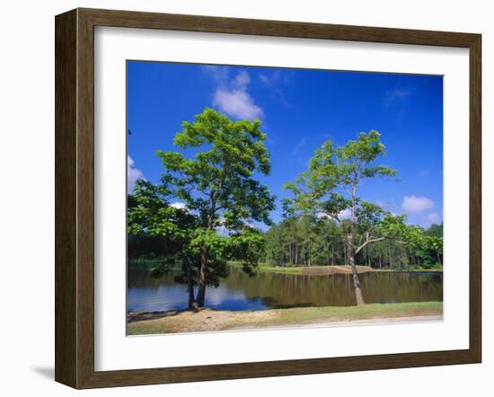 The Little River at Claude D Kelly State Park in Monroe County, Southern Alabama, USA-Robert Francis-Framed Photographic Print