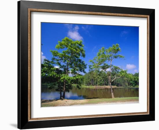 The Little River at Claude D Kelly State Park in Monroe County, Southern Alabama, USA-Robert Francis-Framed Photographic Print