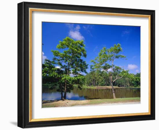 The Little River at Claude D Kelly State Park in Monroe County, Southern Alabama, USA-Robert Francis-Framed Photographic Print