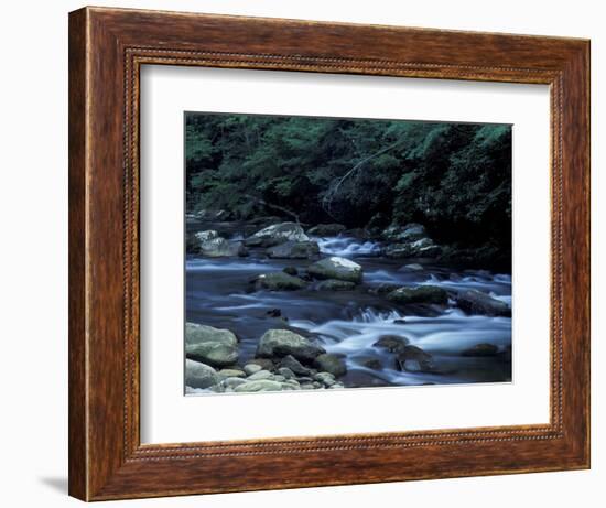 The Little River, Great Smoky Mountains National Park, Tennessee, USA-William Sutton-Framed Photographic Print