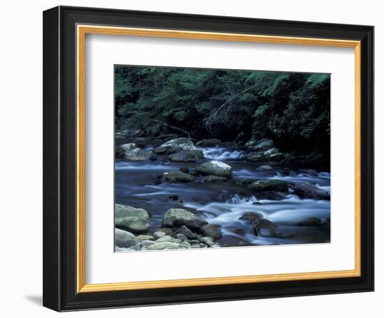 The Little River, Great Smoky Mountains National Park, Tennessee, USA-William Sutton-Framed Photographic Print