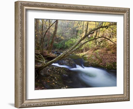 The Little River, Great Smoky Mountains National Park, Tn-Ian Shive-Framed Photographic Print