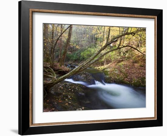 The Little River, Great Smoky Mountains National Park, Tn-Ian Shive-Framed Photographic Print