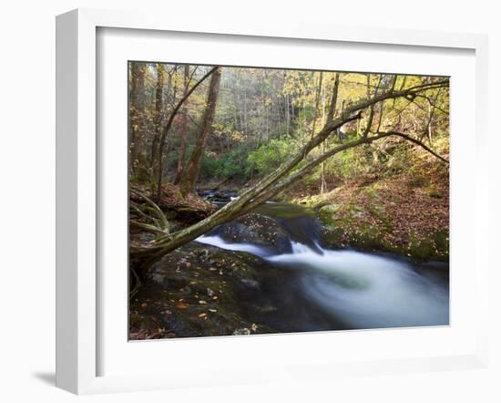 The Little River, Great Smoky Mountains National Park, Tn-Ian Shive-Framed Photographic Print