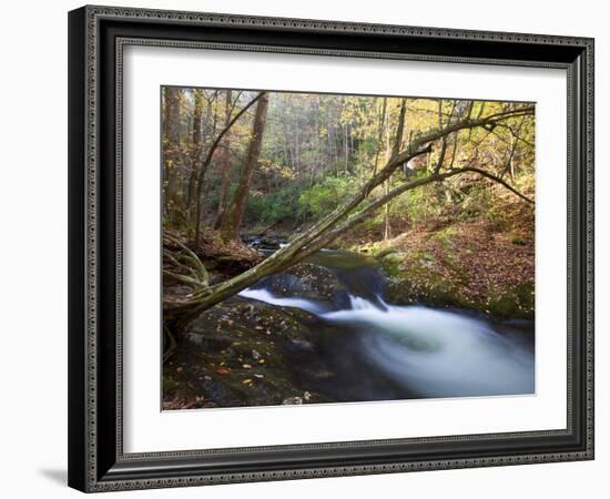 The Little River, Great Smoky Mountains National Park, Tn-Ian Shive-Framed Photographic Print