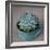 The Little Succulent-Susan Bryant-Framed Photographic Print