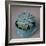 The Little Succulent-Susan Bryant-Framed Photographic Print