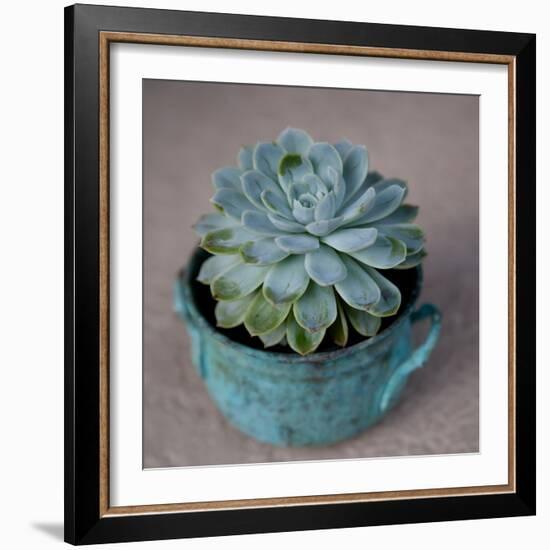 The Little Succulent-Susan Bryant-Framed Photographic Print