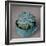 The Little Succulent-Susan Bryant-Framed Photographic Print