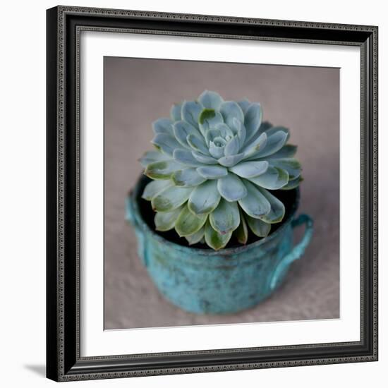 The Little Succulent-Susan Bryant-Framed Photographic Print