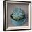 The Little Succulent-Susan Bryant-Framed Photographic Print