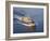 The Littoral Combat Ship Pre-Commissioning Unit Fort Worth-Stocktrek Images-Framed Photographic Print