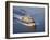 The Littoral Combat Ship Pre-Commissioning Unit Fort Worth-Stocktrek Images-Framed Photographic Print