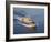 The Littoral Combat Ship Pre-Commissioning Unit Fort Worth-Stocktrek Images-Framed Photographic Print