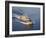 The Littoral Combat Ship Pre-Commissioning Unit Fort Worth-Stocktrek Images-Framed Photographic Print