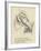 The Lively Learned Lobster-Edward Lear-Framed Giclee Print