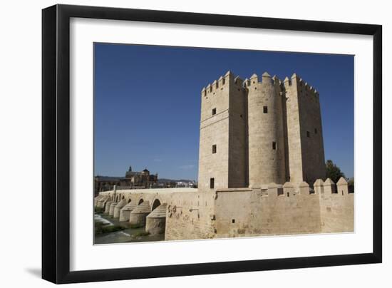 The Living Museum of Al-Andalus and The Great Mosque and Cathedral of Cordoba, Spain-Richard Maschmeyer-Framed Photographic Print