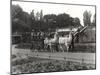 The Llama Ride - Once a Feature at Zsl London Zoo, September, 1923-Frederick William Bond-Mounted Photographic Print