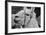 The Llama-meunierd-Framed Photographic Print