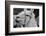 The Llama-meunierd-Framed Photographic Print