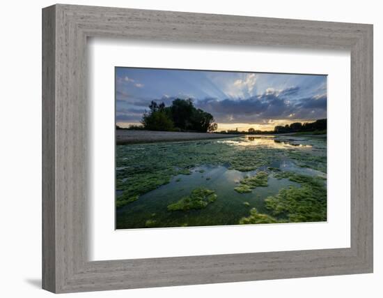 The Loire River Near the Village of La Chapelle Sur Loire, Loire Valley, UNESCO World Heritage Site-Nathalie Cuvelier-Framed Photographic Print