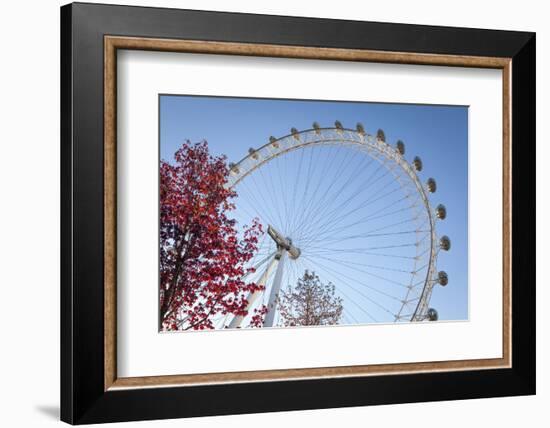 The London Eye on a Bright Sunny Day, London, England, United Kingdom, Europe-Charlie Harding-Framed Photographic Print