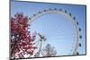 The London Eye on a Bright Sunny Day, London, England, United Kingdom, Europe-Charlie Harding-Mounted Photographic Print