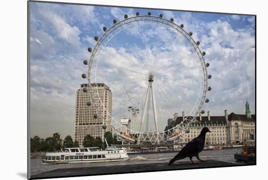 The London Eye On The Thames River With A Pigeon In The Foreground-Karine Aigner-Mounted Photographic Print