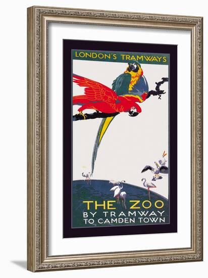 The London Zoo: The Macaw-Van Jones-Framed Art Print