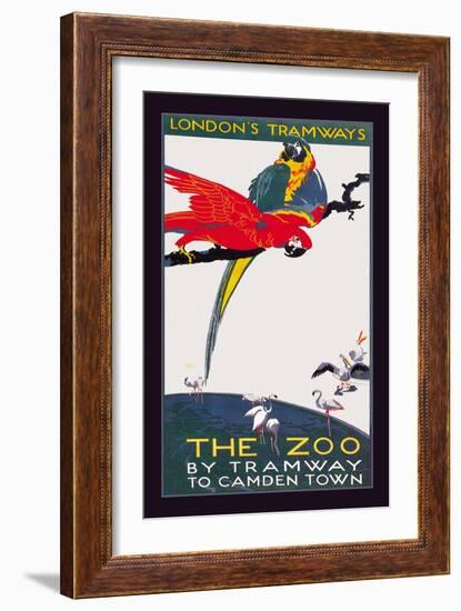 The London Zoo: The Macaw-Van Jones-Framed Art Print