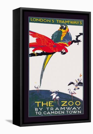 The London Zoo: The Macaw-Van Jones-Framed Stretched Canvas