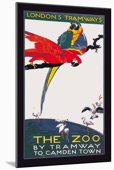 The London Zoo: The Macaw-Van Jones-Mounted Art Print