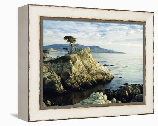 The Lone Cypress Tree on the Coast, Carmel, California, USA-Michael Howell-Framed Premier Image Canvas