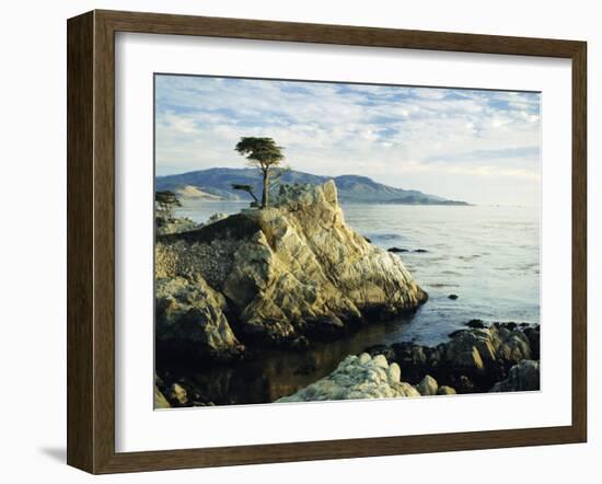 The Lone Cypress Tree on the Coast, Carmel, California, USA-Michael Howell-Framed Photographic Print