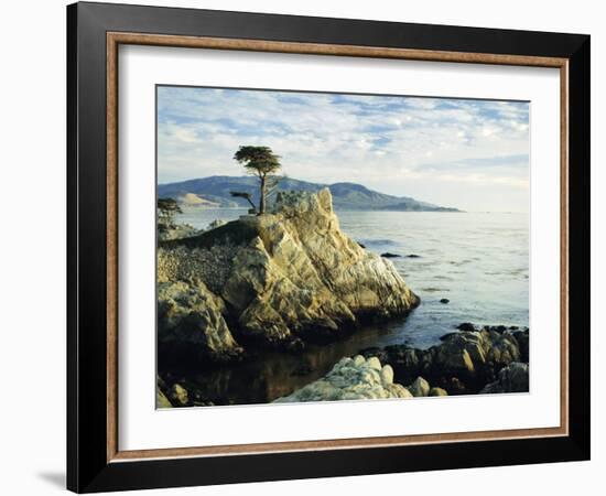 The Lone Cypress Tree on the Coast, Carmel, California, USA-Michael Howell-Framed Photographic Print