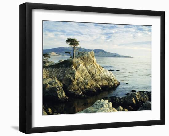 The Lone Cypress Tree on the Coast, Carmel, California, USA-Michael Howell-Framed Photographic Print