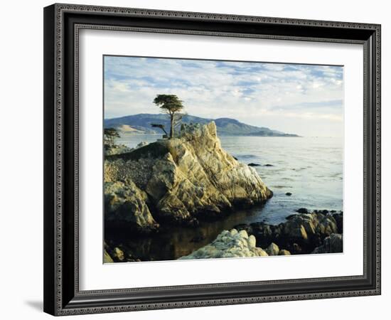 The Lone Cypress Tree on the Coast, Carmel, California, USA-Michael Howell-Framed Photographic Print