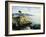 The Lone Cypress Tree on the Coast, Carmel, California, USA-Michael Howell-Framed Photographic Print