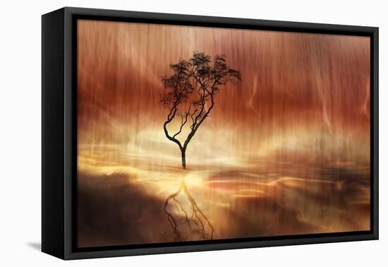 The lonely tree-Heidi Westum-Framed Premier Image Canvas