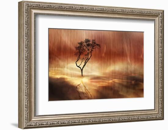 The lonely tree-Heidi Westum-Framed Photographic Print