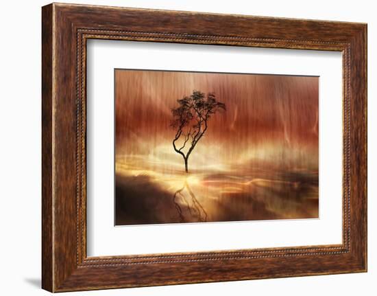 The lonely tree-Heidi Westum-Framed Photographic Print