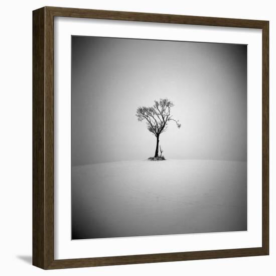 The Lonely-Craig Roberts-Framed Photographic Print