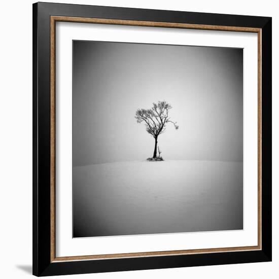 The Lonely-Craig Roberts-Framed Photographic Print