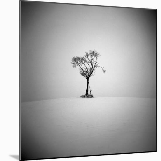 The Lonely-Craig Roberts-Mounted Photographic Print