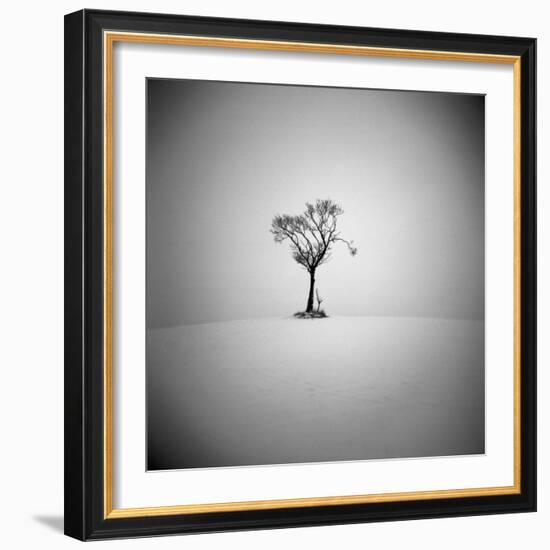 The Lonely-Craig Roberts-Framed Photographic Print