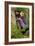 The Long Engagement, 1859 (Oil on Canvas)-Arthur Hughes-Framed Giclee Print