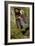 The Long Engagement, 1859-Arthur Hughes-Framed Giclee Print