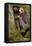 The Long Engagement, 1859-Arthur Hughes-Framed Premier Image Canvas