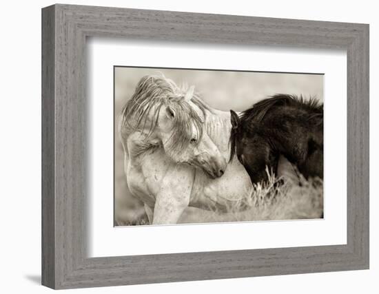 The Long Goodbye-Lisa Dearing-Framed Photographic Print