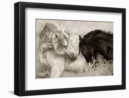 The Long Goodbye-Lisa Dearing-Framed Photographic Print